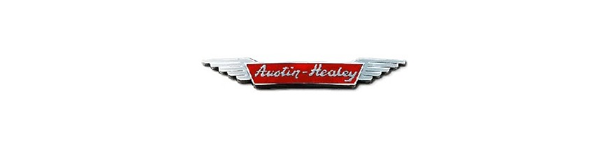 Ceinture de sécurité avant et arrière pour Austin Healey