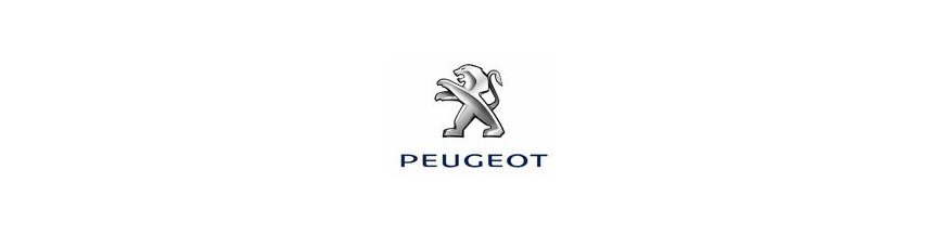 Ceinture de sécurité avant et arrière pour Peugeot