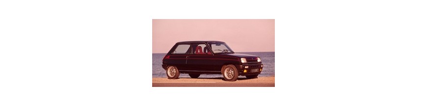 Renault R5 av 81